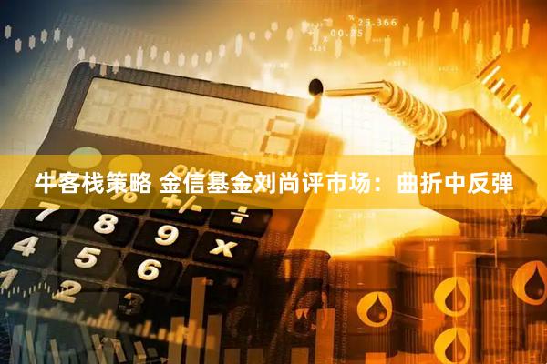 牛客栈策略 金信基金刘尚评市场：曲折中反弹