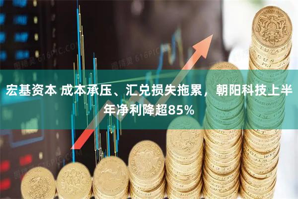 宏基资本 成本承压、汇兑损失拖累，朝阳科技上半年净利降超85%